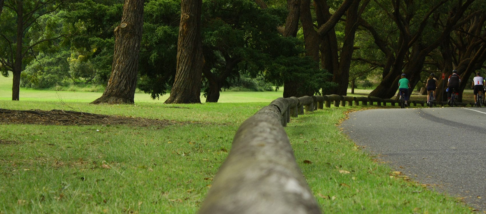 Centennial Parklands projects - CCTV Consultation - Centennial Parklands