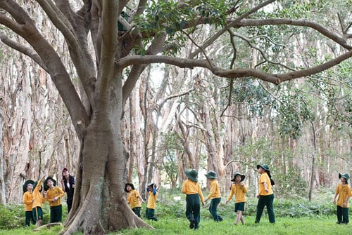 Learn - School programs - Centennial Parklands