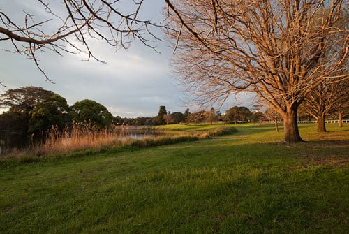 Environmental Management - Centennial Parklands - Centennial Parklands