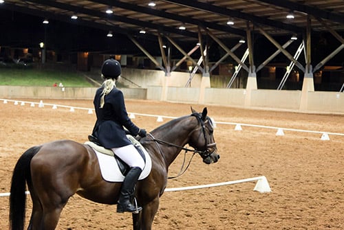 Centennial Parklands Equestrian Centre Centennial Parklands