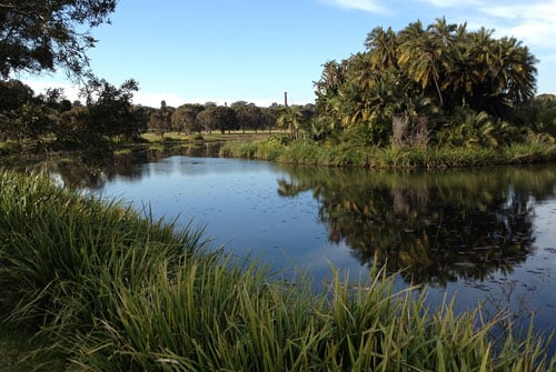 Analysis Of Centennial Park Pond System