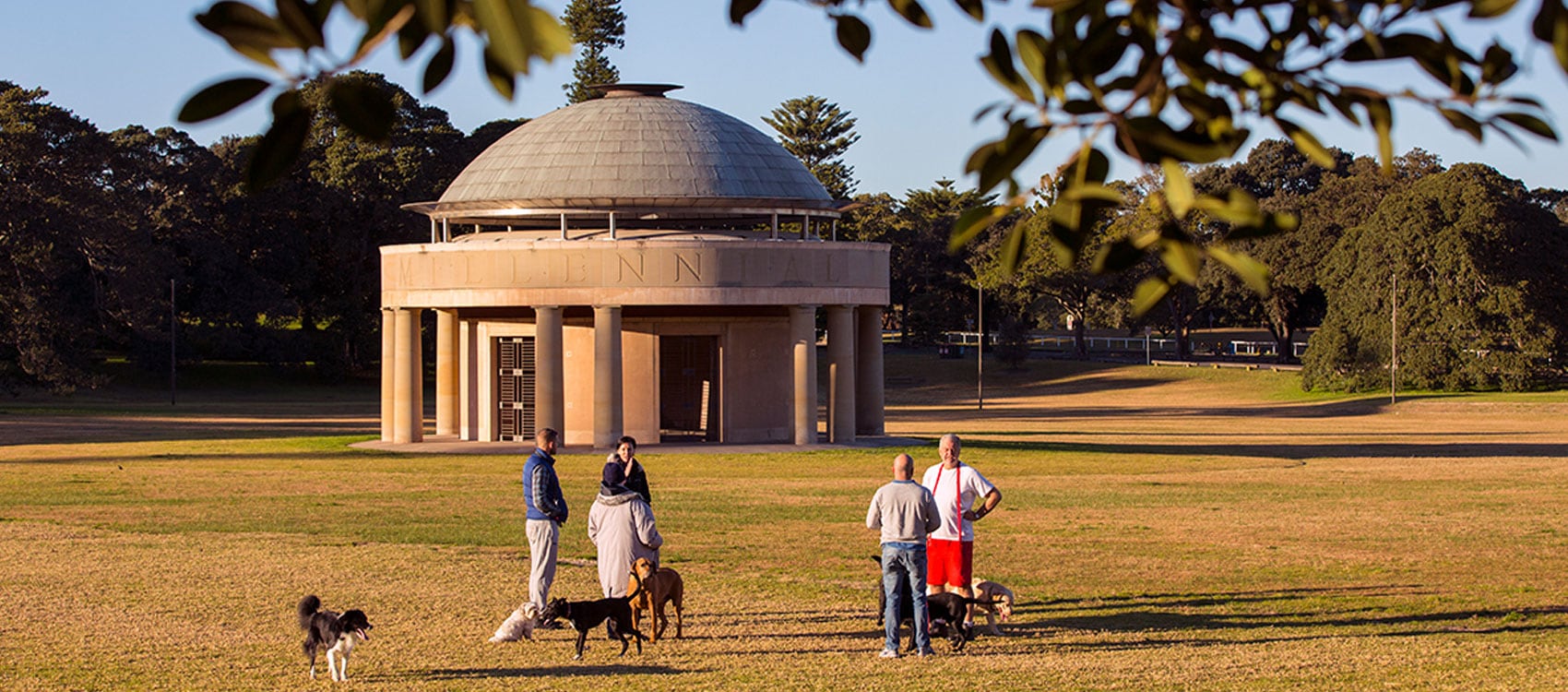 Can you fly a drone in store centennial park